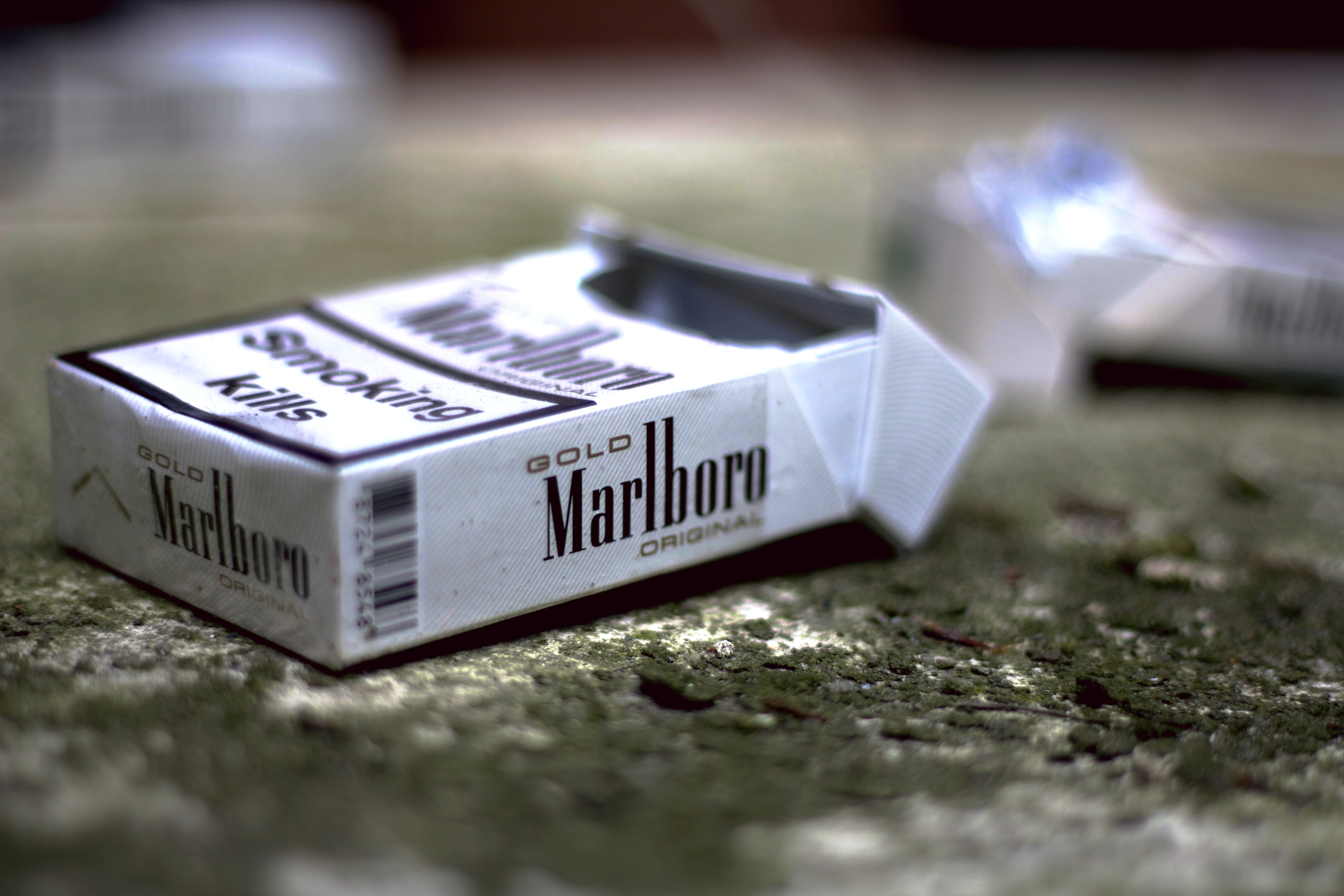 담배.jpg